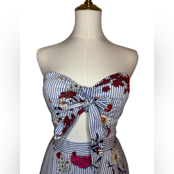 a'gaci Striped Floral Midi Dress - Red and Blue - Picture 3 of 5